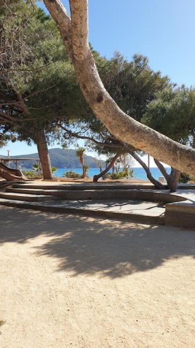Apartment Castel Du Soleil, Bord De Mer, 4 Pers *