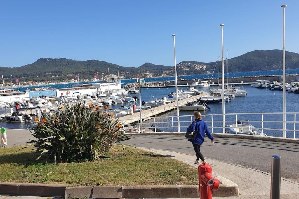Apartment Castel Du Soleil, Bord De Mer, 4 Pers *